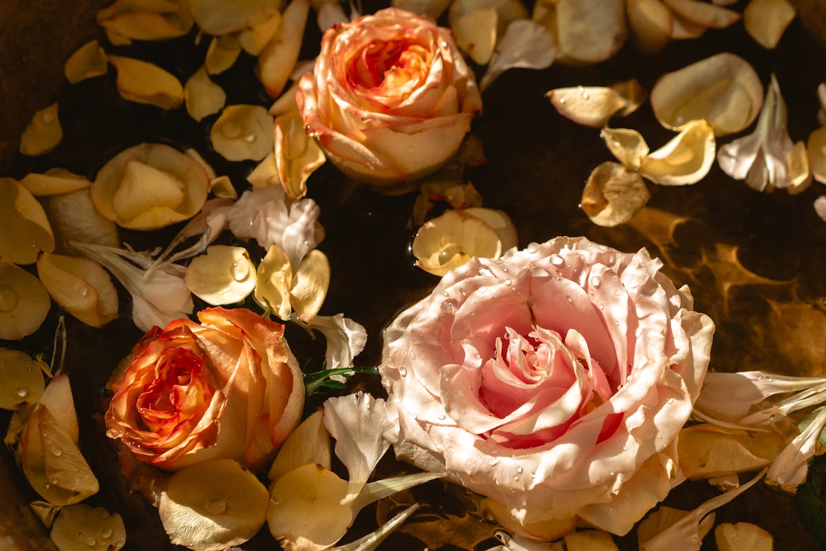 Pétales de rose et flacon d'eau florale posés sur une surface claire