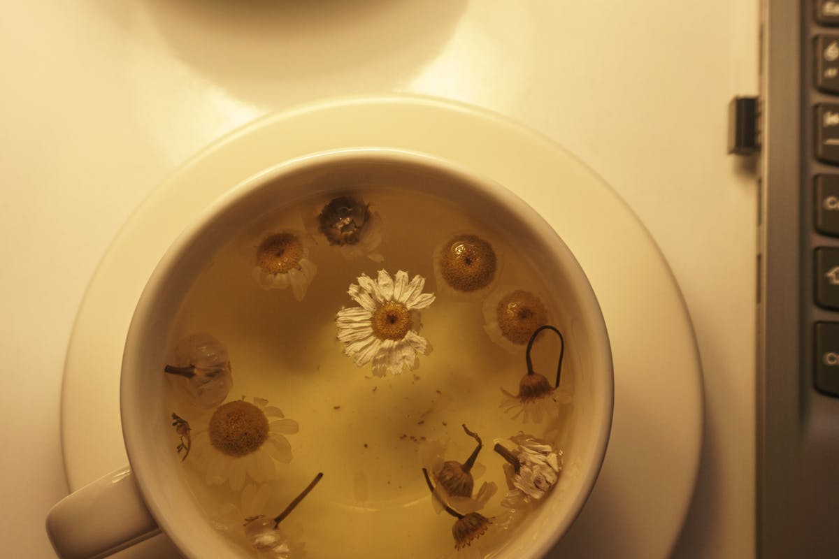 Tasse de tisane à la camomille avec des fleurs séchées infusées