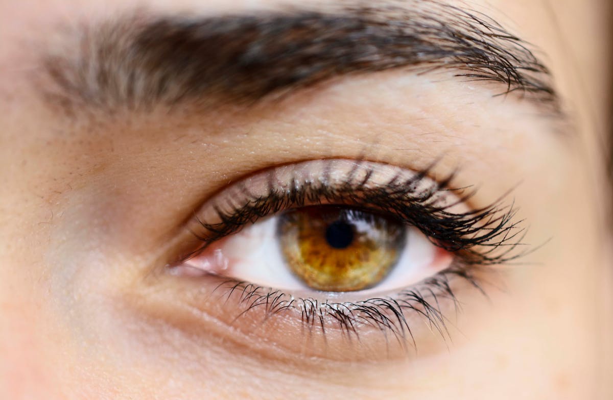 Gros plan sur des yeux noisette aux reflets verts et dorés